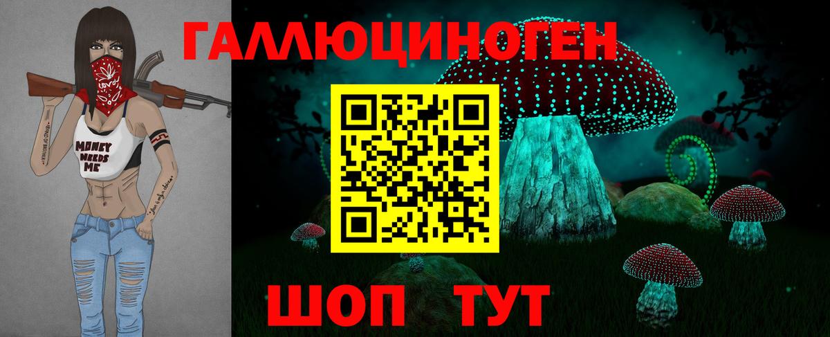 Псилоцибиновые грибы Psilocybine cubensis Череповец